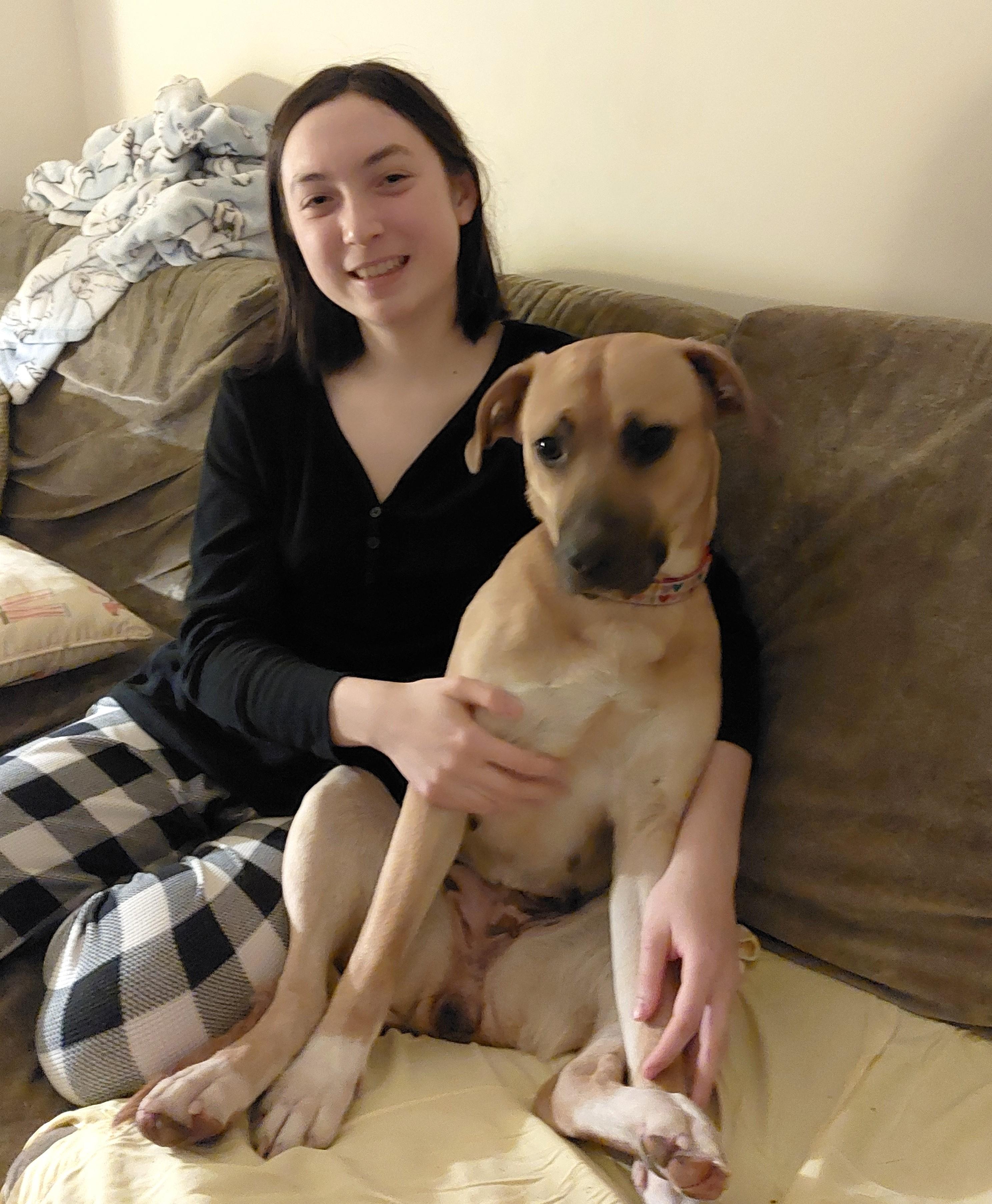 Enlarge Fairlady AKA Loa (55 lbs), a ADOPTABLE mixed breed in Mississauga, ON image 3/6
