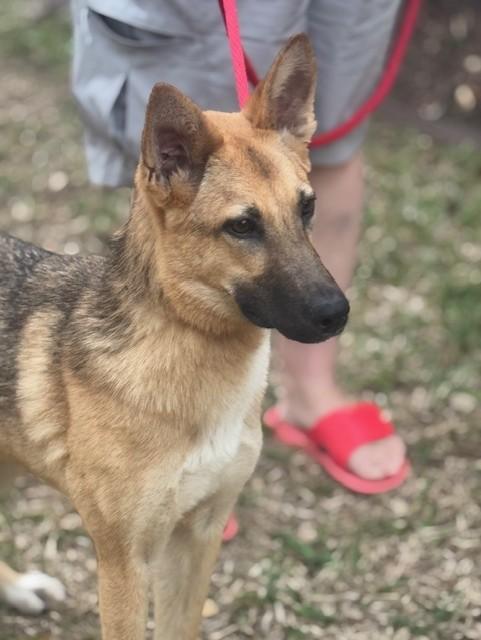 Abby — thumbnail 4