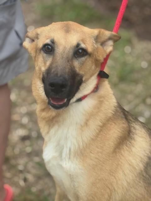 Abby — thumbnail 5