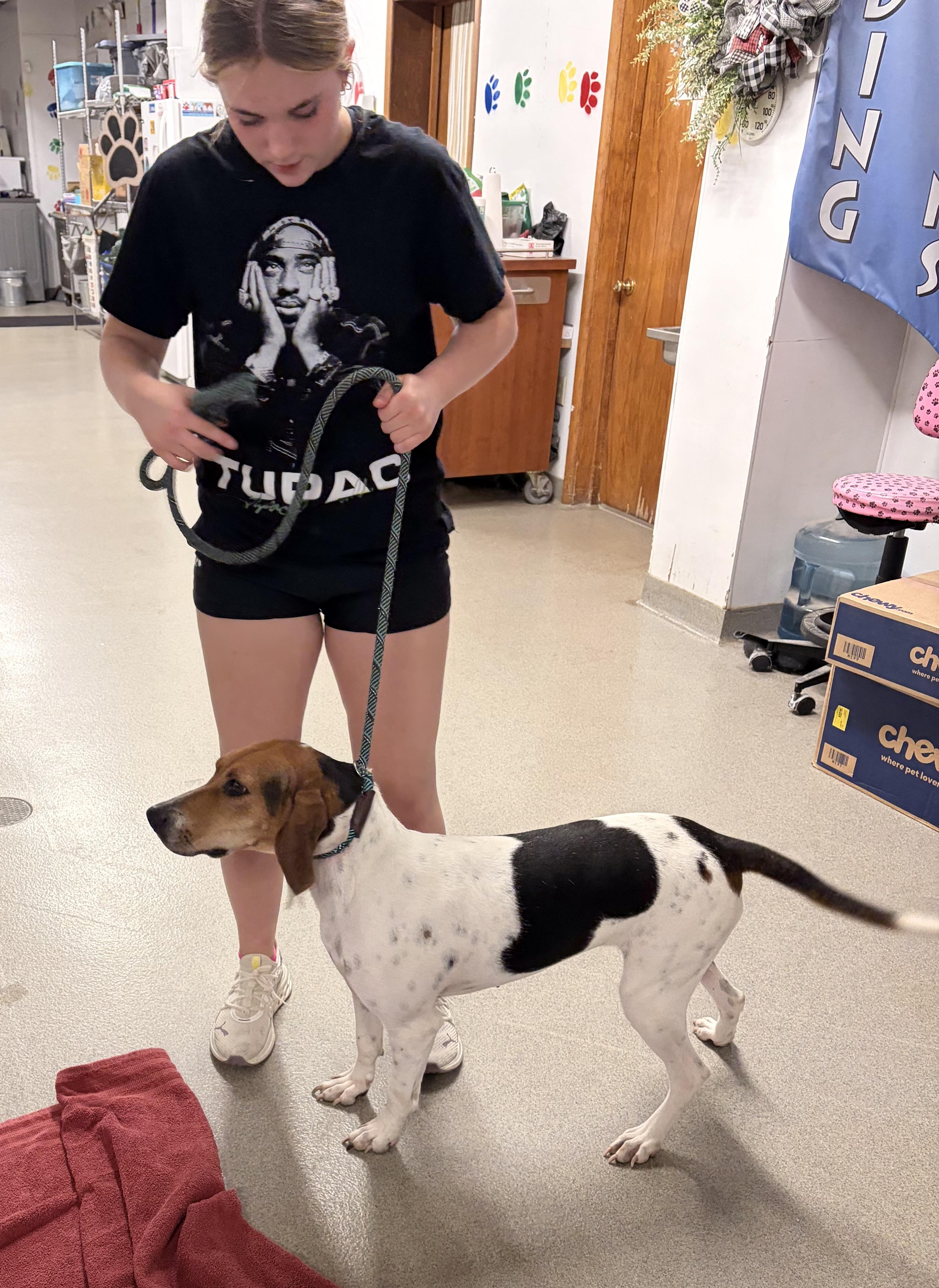 Enlarge Fern, a Adoptable mixed breed in Wahoo, NE image 2/3