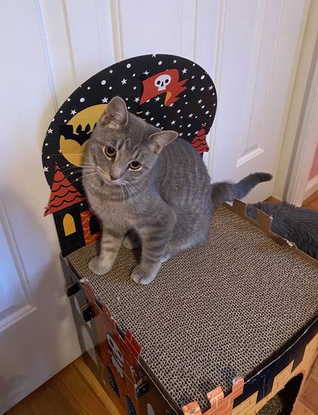 Barcelona, Willow Grove Area (FCID 9/05/25-102) DC