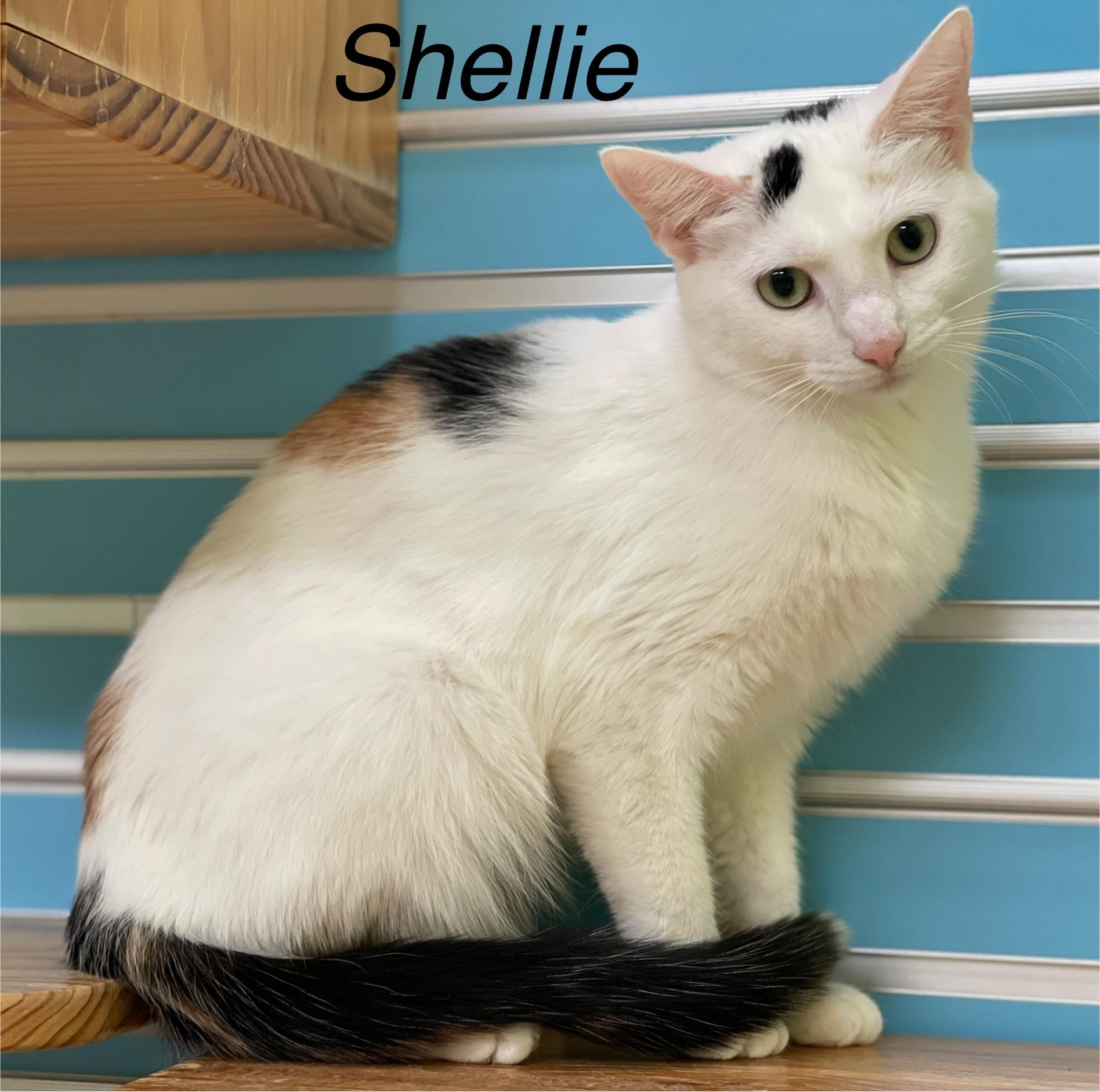 Shellie