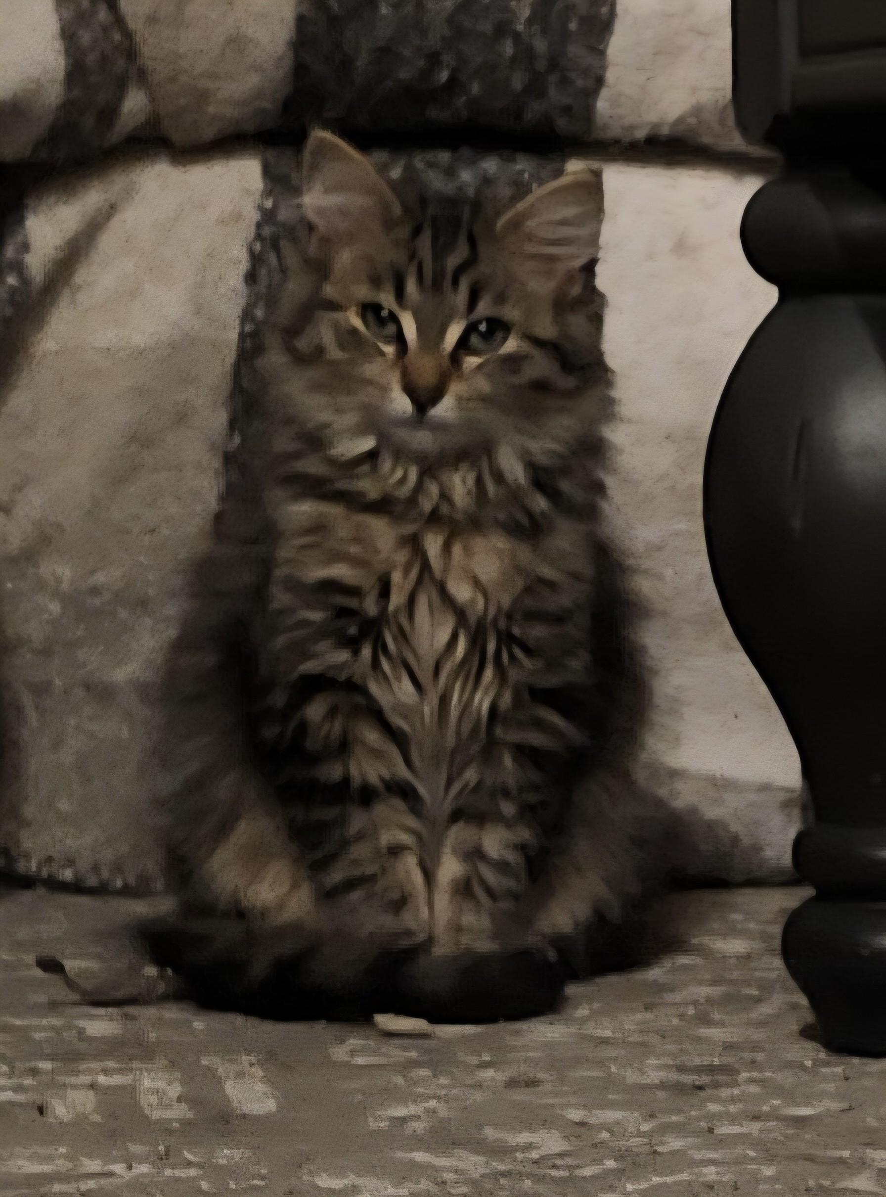 Enlarge FREYA, a Adoptable mixed breed in Niagara on the Lake, ON image 2/4