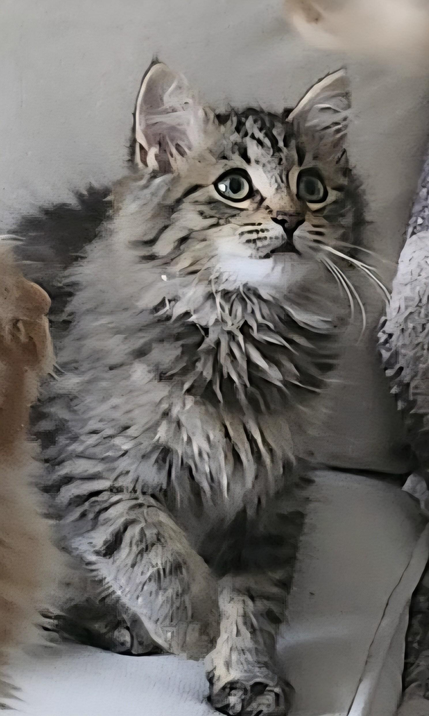 Enlarge FREYA, a Adoptable mixed breed in Niagara on the Lake, ON image 1/4