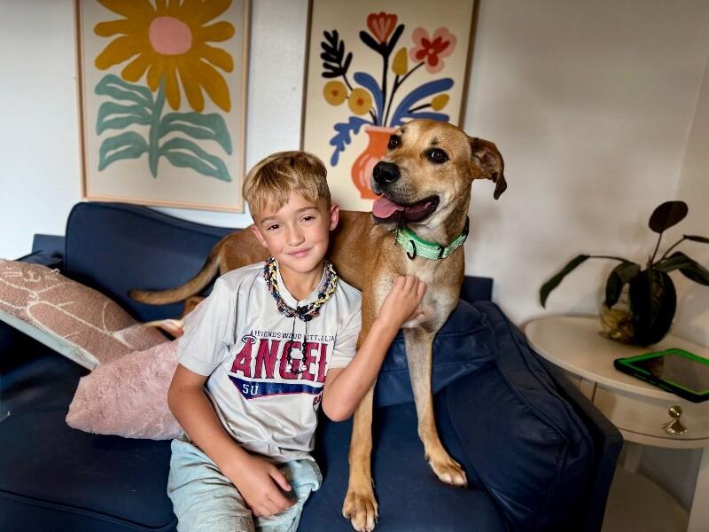 Rye Sweet as Pie Loves Everyone