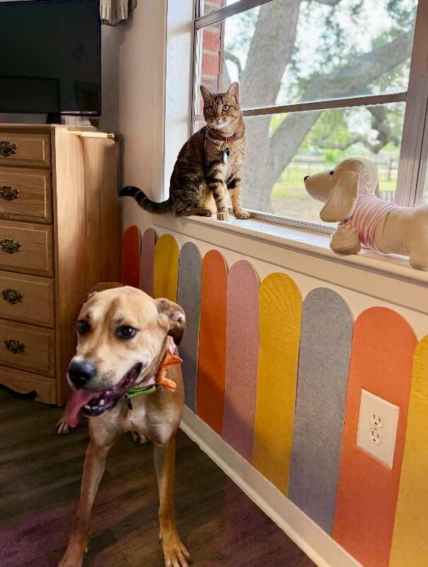 Rye Sweet as Pie Loves Everyone — thumbnail 5