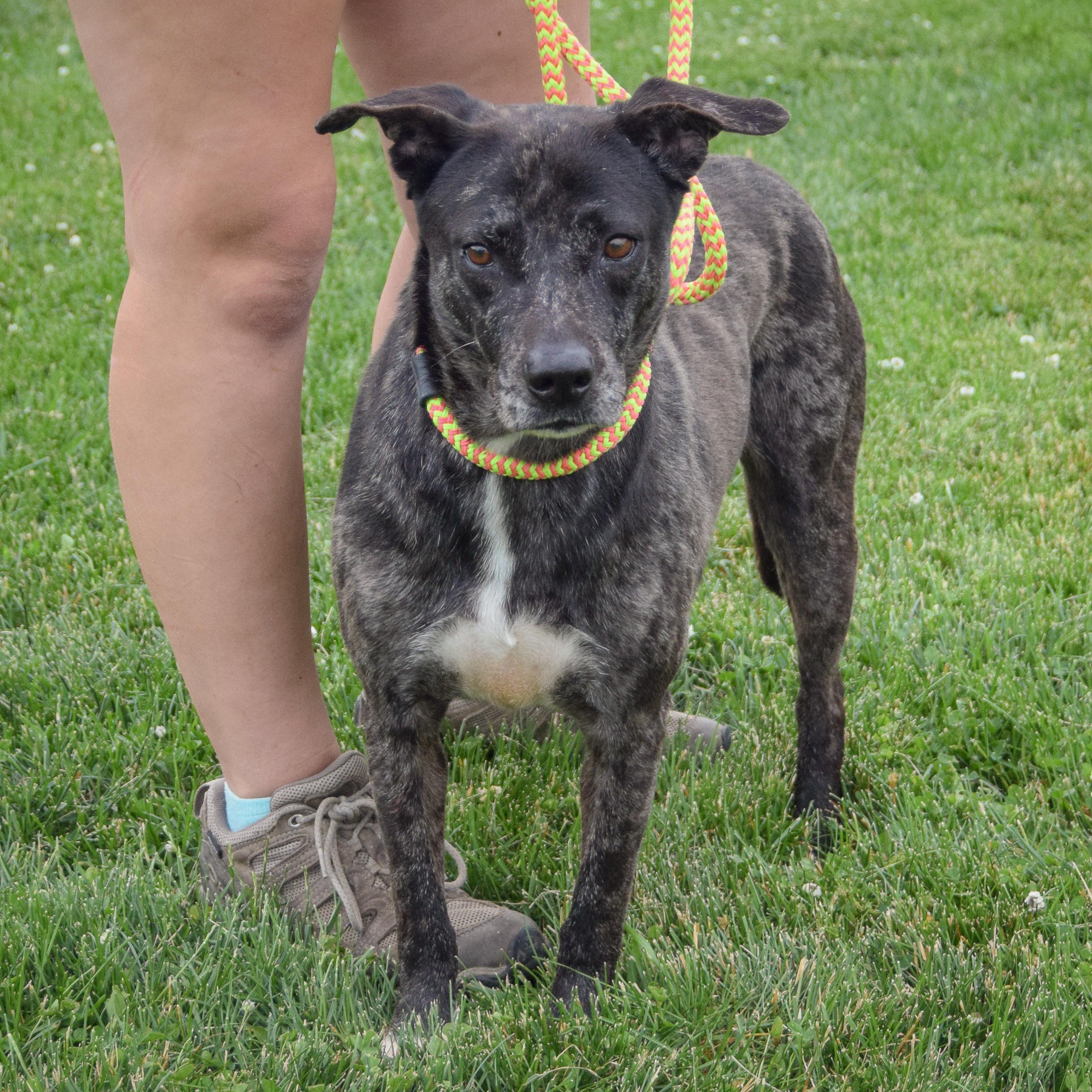 Balu photo 3