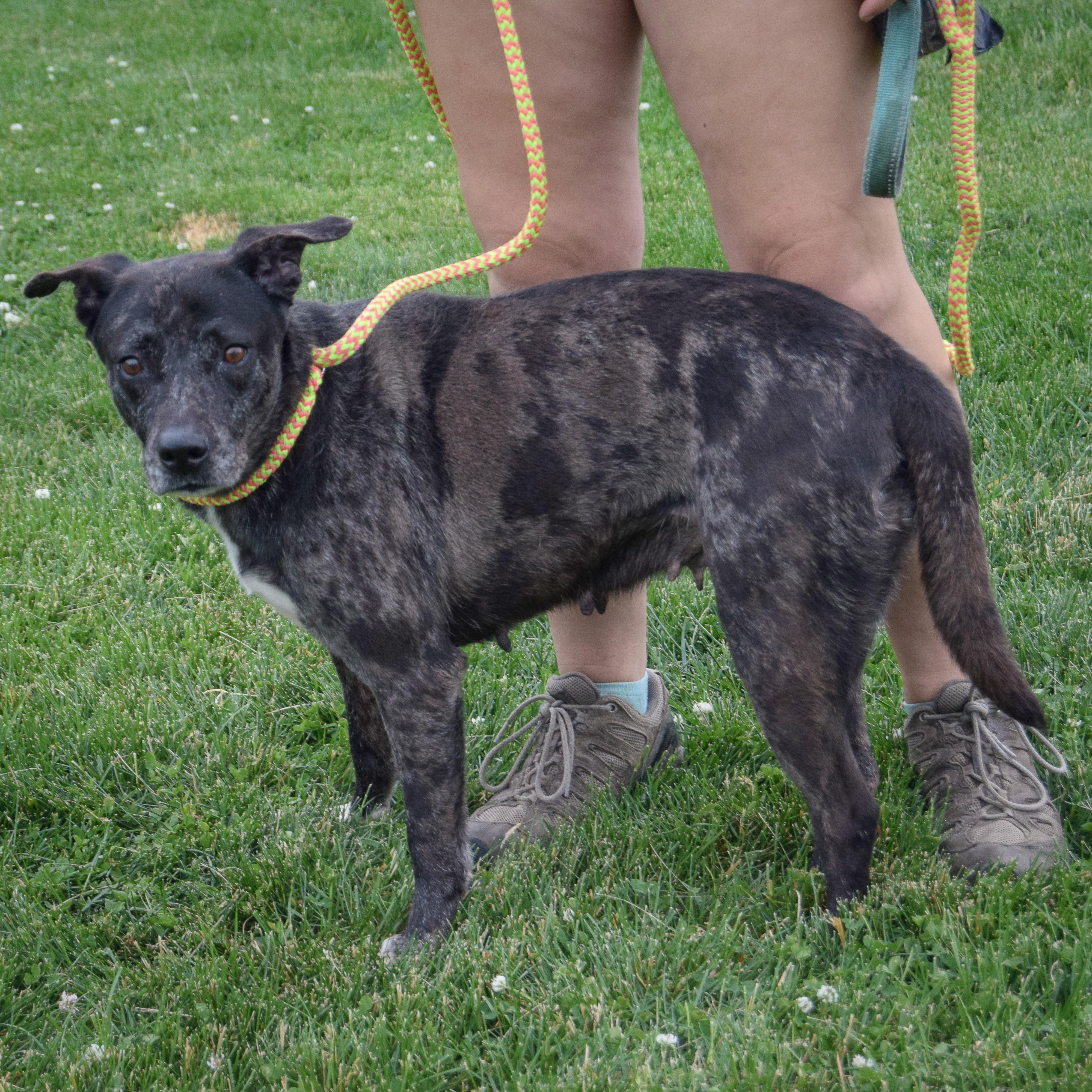 Balu photo 2