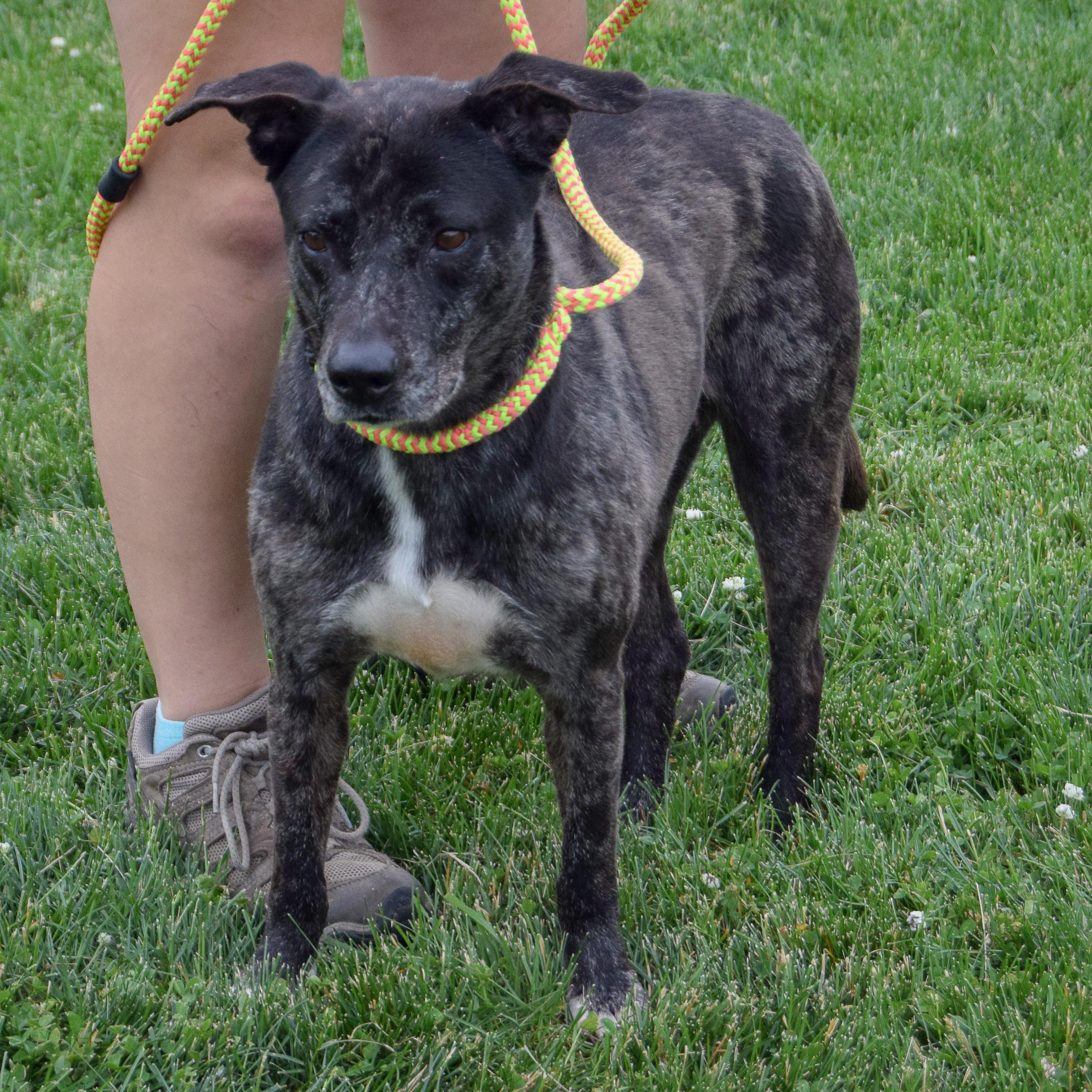 Balu photo 4