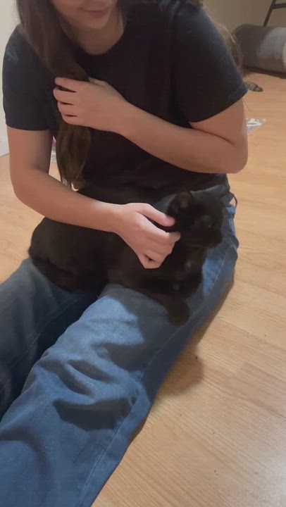 Enlarge Mercedes, a ADOPTABLE mixed breed in Mississauga, ON video 3/3