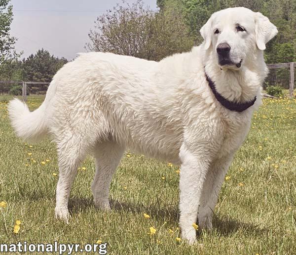 Sissy in VA - Calm, Sweet & Social!