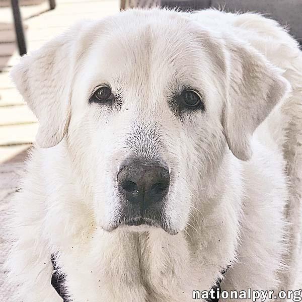 Sissy in VA - Calm, Sweet & Social!