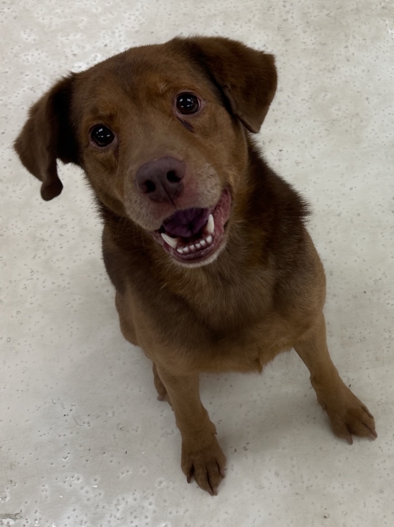 Rubin & Cherise Bonded Pair  2