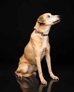 Athena