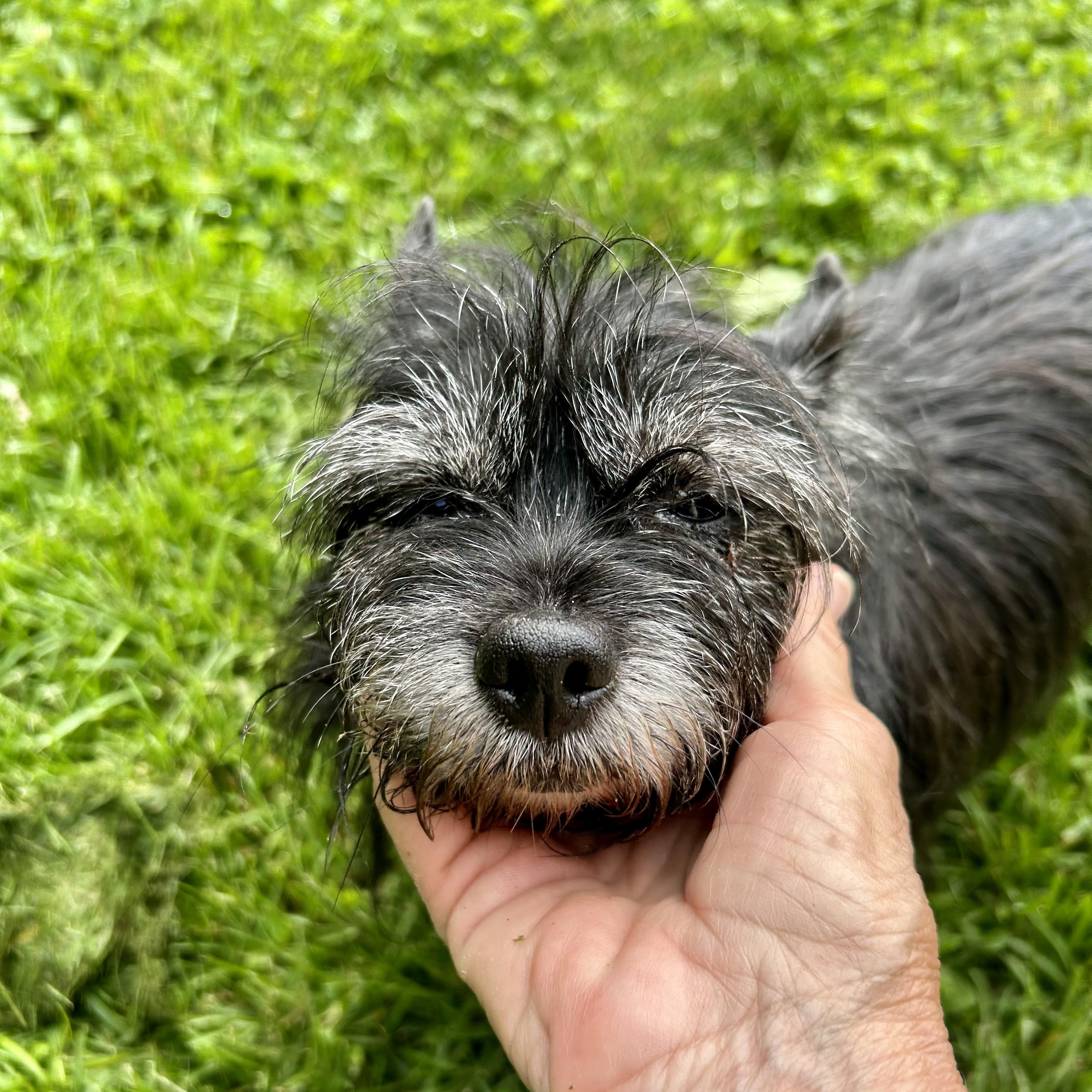 Tito