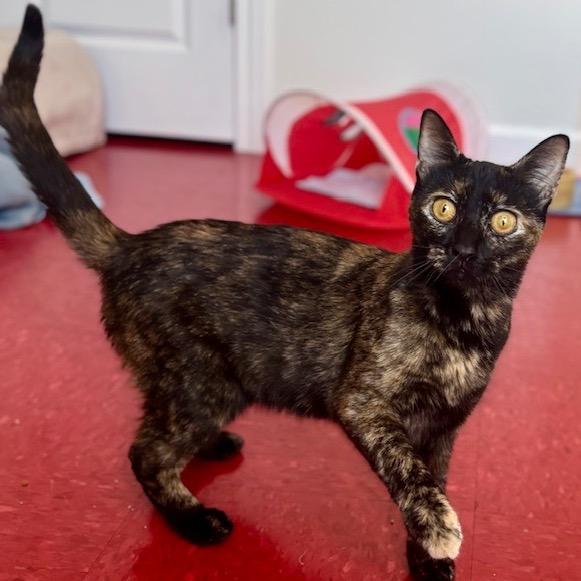 Cagney — thumbnail 3