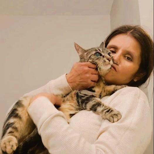 Enlarge Sheba, a Adoptable mixed breed in Piscataway, NJ image 3/6