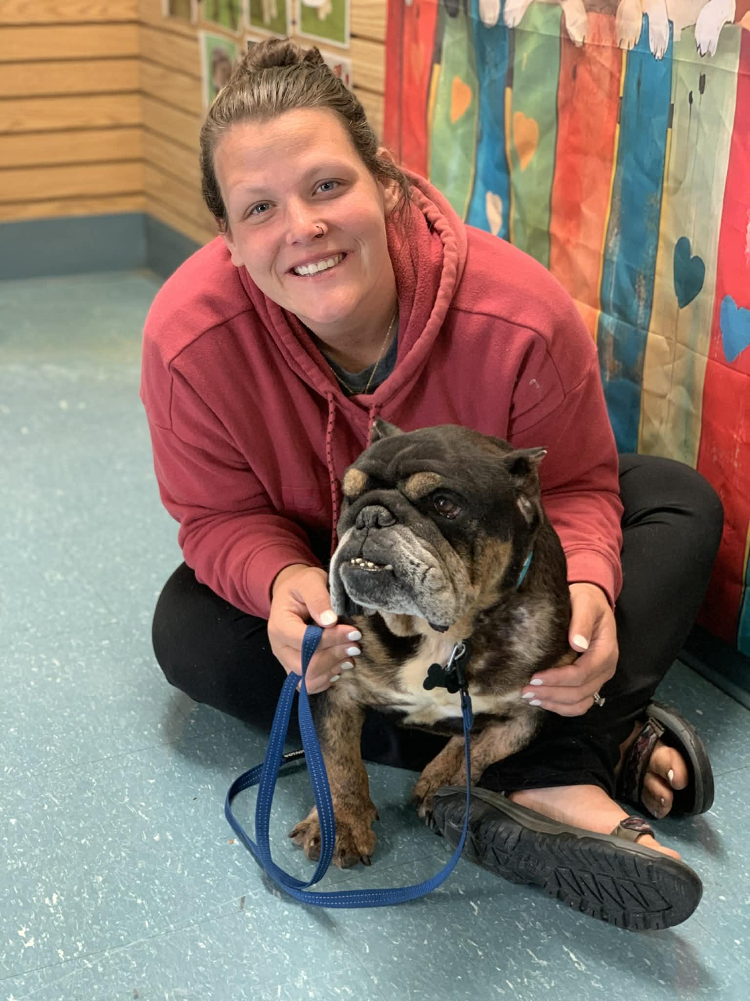 Enlarge Mac, a ADOPTABLE Bulldog in Blue Bell, PA image 5/5