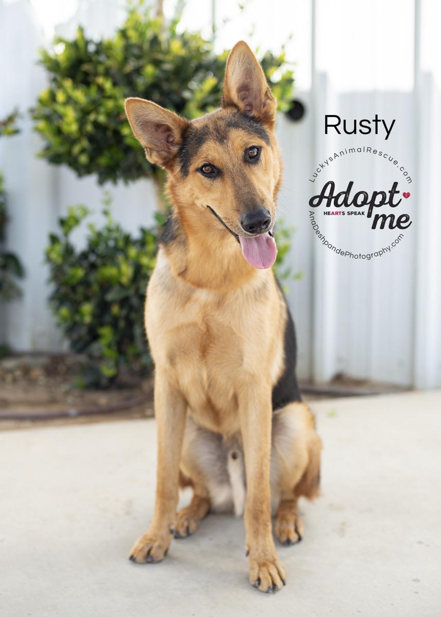 Rusty