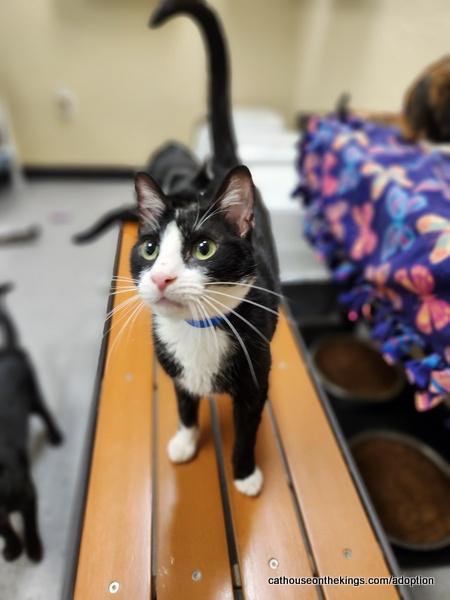 Billy Bob — thumbnail 3