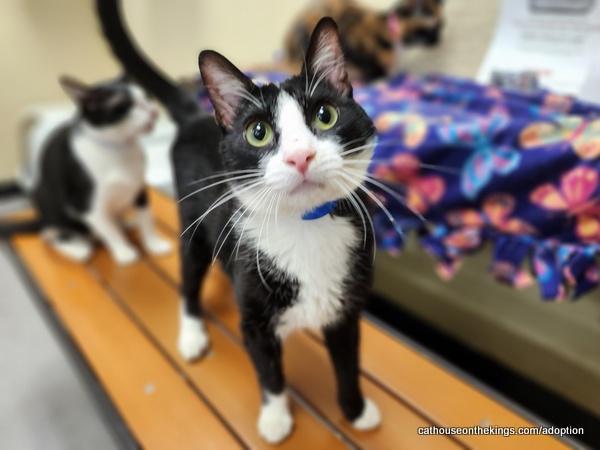 Billy Bob — thumbnail 4