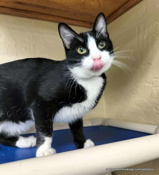 Billy Bob — thumbnail 5