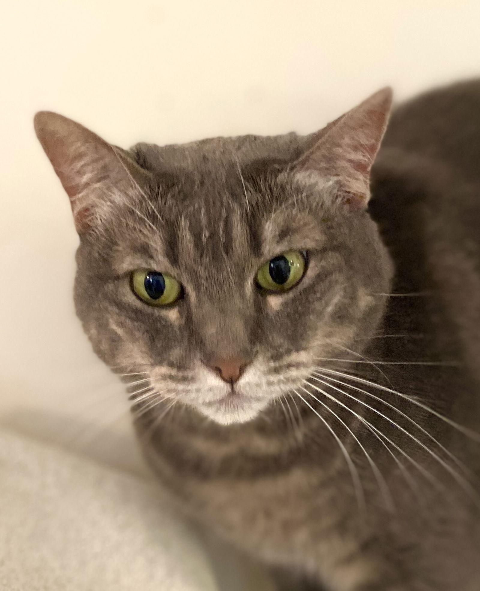 Jumper — thumbnail 2