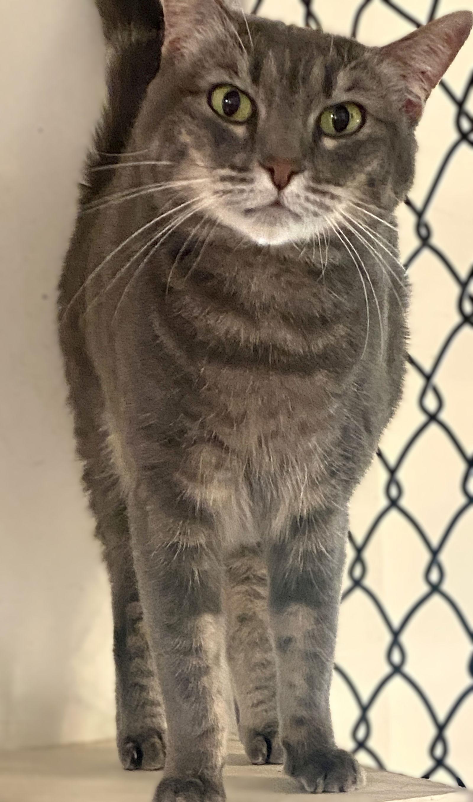 Jumper — thumbnail 3