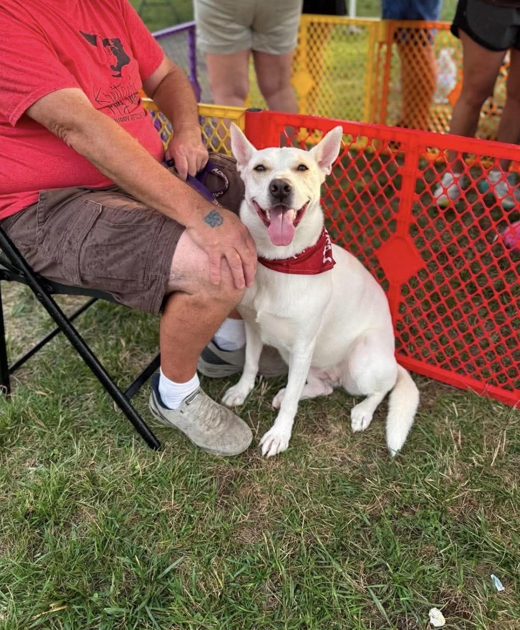 Blossom, a ADOPTABLE mixed breed in Kannapolis, NC image 5/6