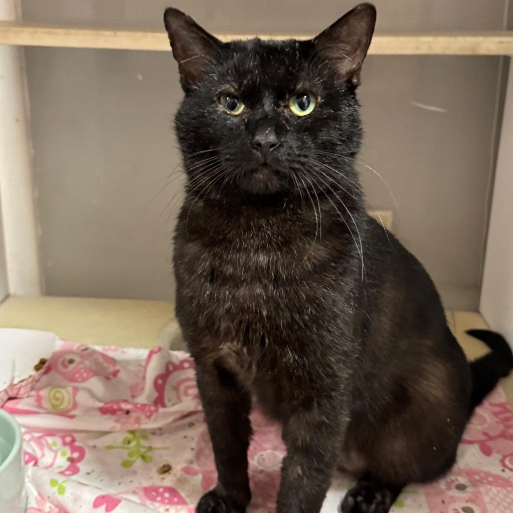 Al Gresham (I have a Secret Crush!)