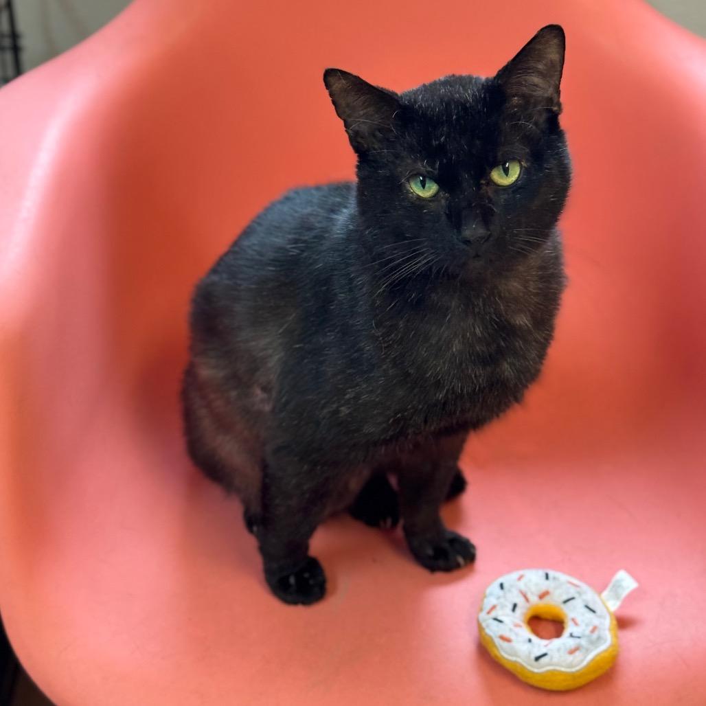 Al Gresham (I have a Secret Crush!) — thumbnail 5