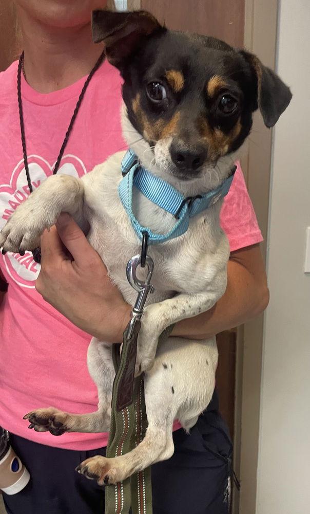 Autumn (AKA Autumnwood) * — thumbnail 2