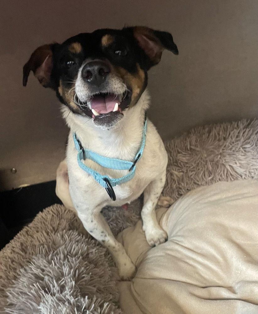 Autumn (AKA Autumnwood) * — thumbnail 3