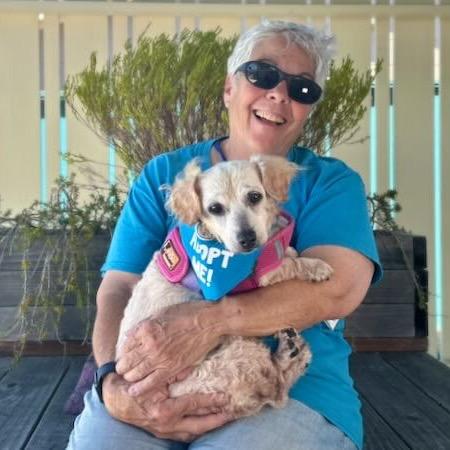 Enlarge Strawberry, a Adoptable mixed breed in Pacific Grove, CA image 4/6