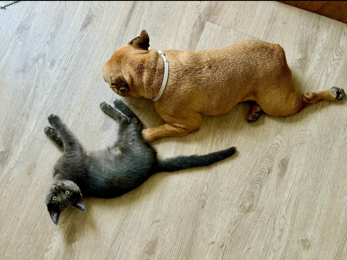 Numkin and Via