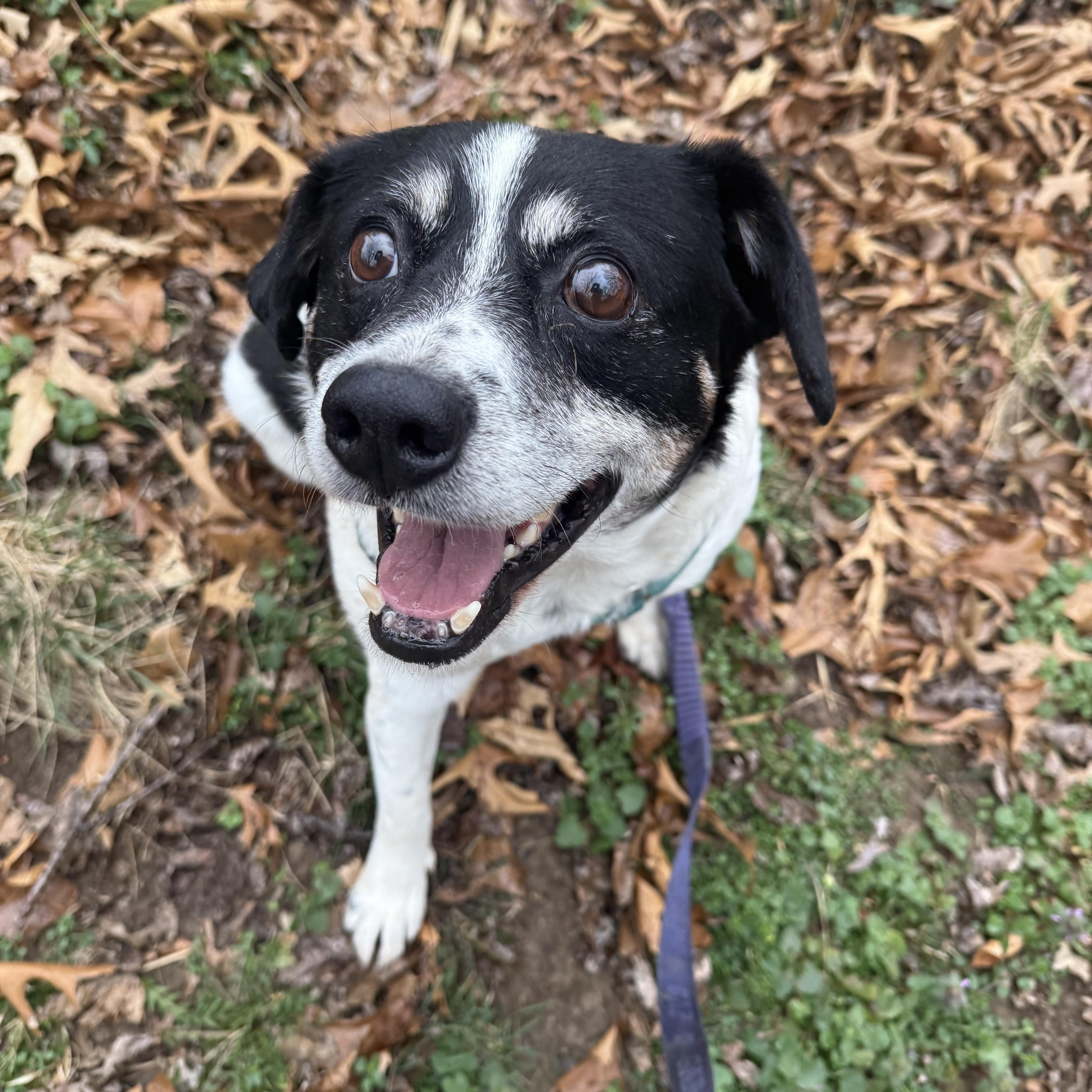 George Bailey — thumbnail 4