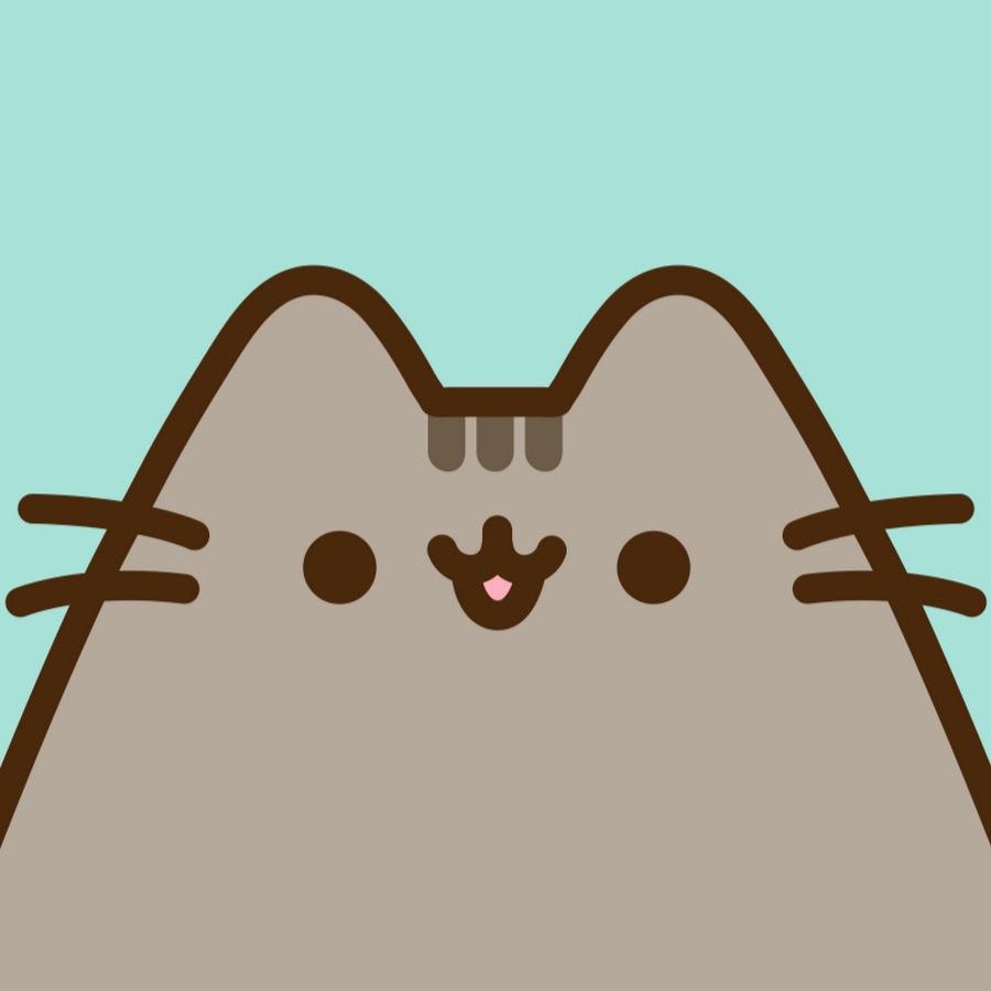 *Any/Unlisted Cat, Adoptable, Adult Male Domestic Short Hair.