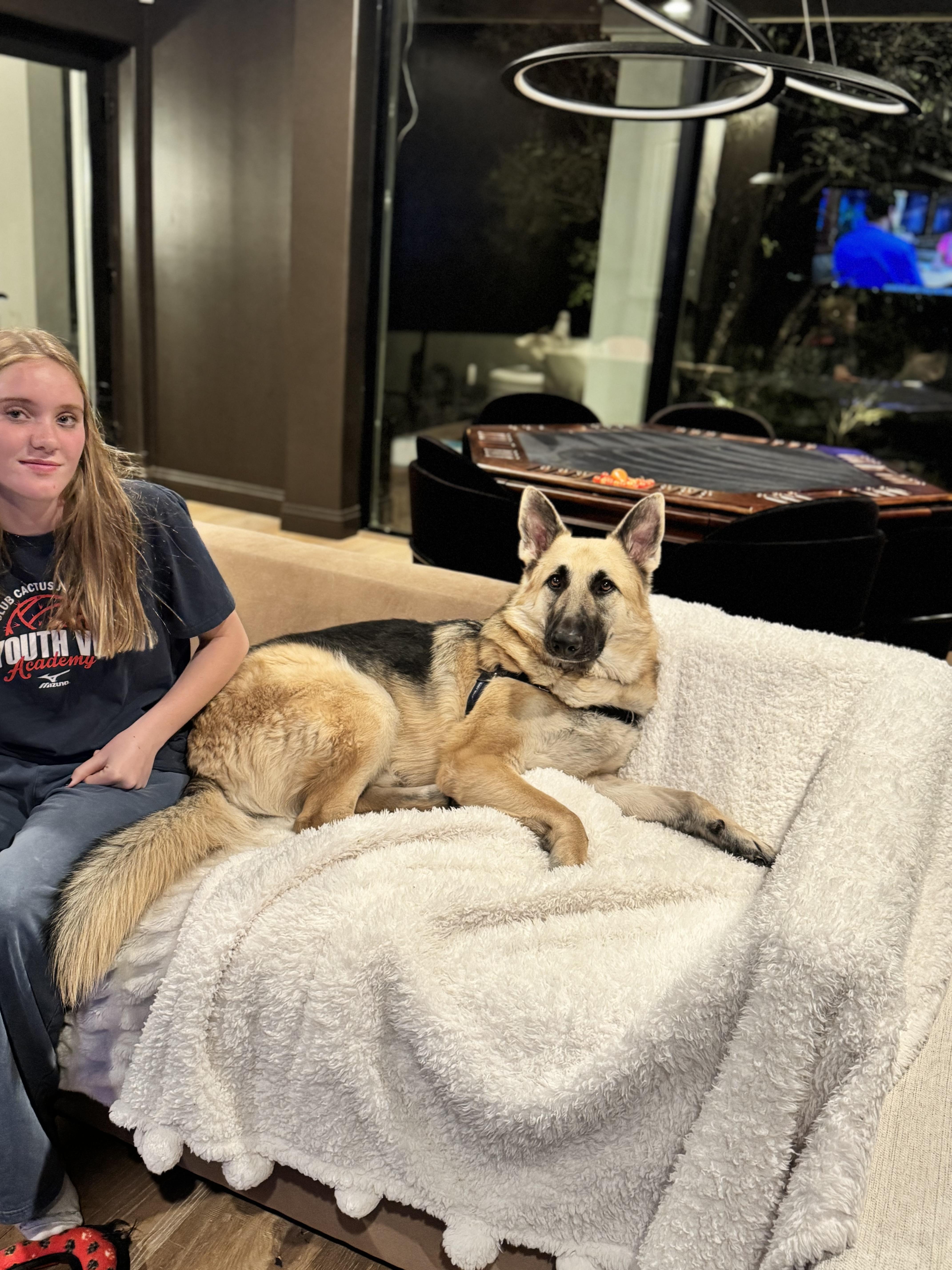 Hopper (Charlie) - Adoptable Pet | Petfinder | Petfinder