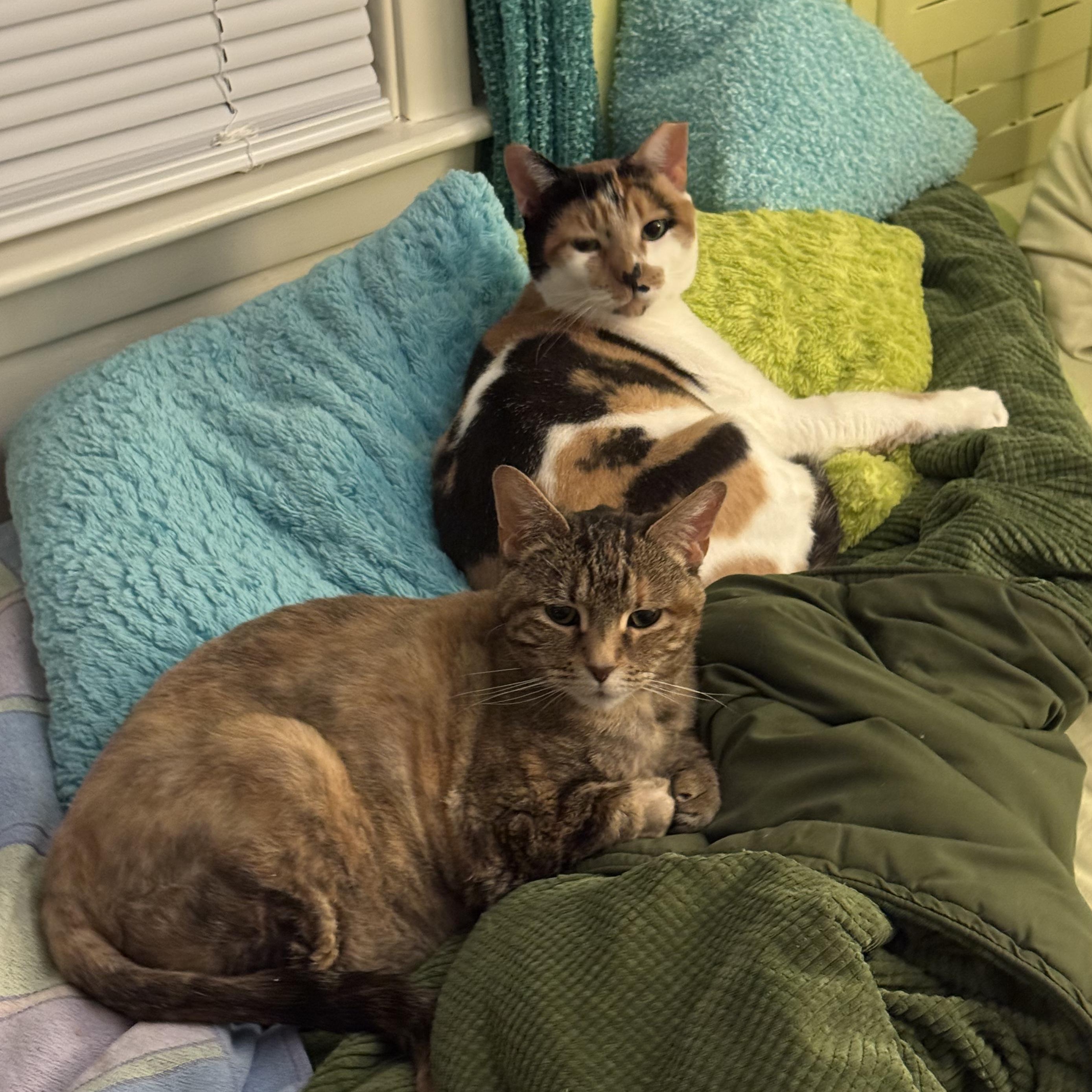 Carly — thumbnail 2