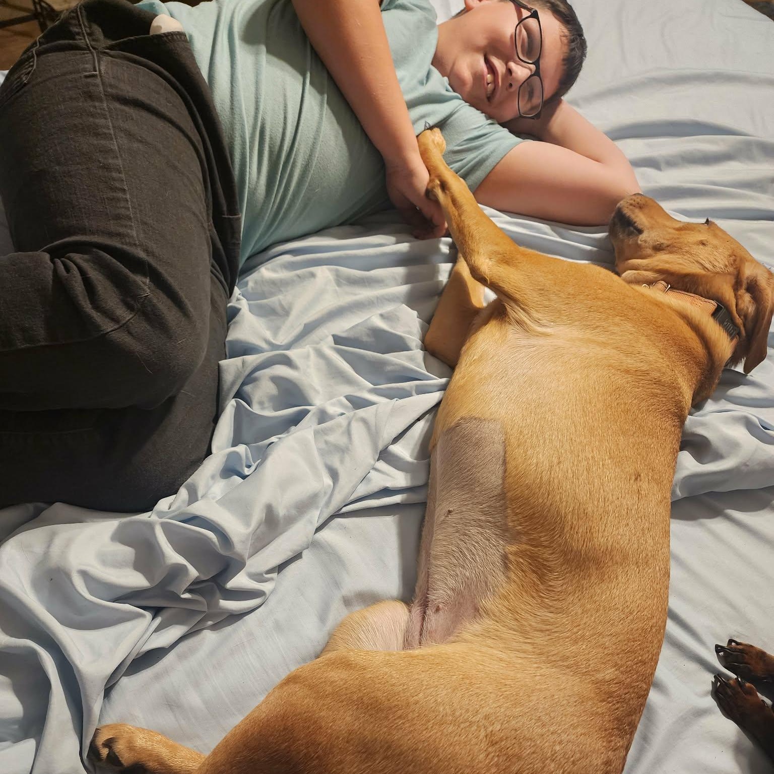 Enlarge Baby, a Adoptable mixed breed in Unionville, CT image 3/6