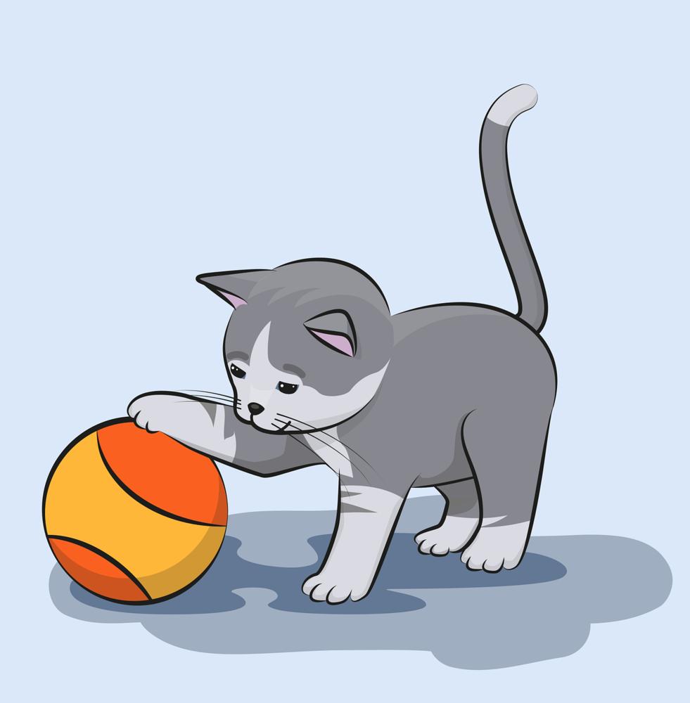 Enlarge AA Kitten, a Adoptable Domestic Short Hair in South Bend, IN image 1/1