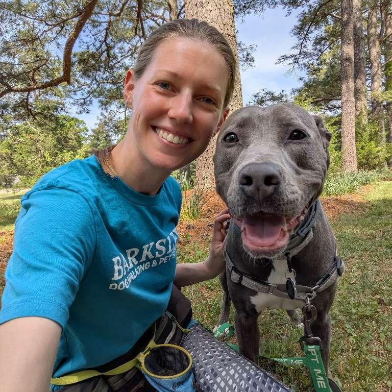 Enlarge Wilma, a Adoptable American Staffordshire Terrier in Richmond, VA image 2/6