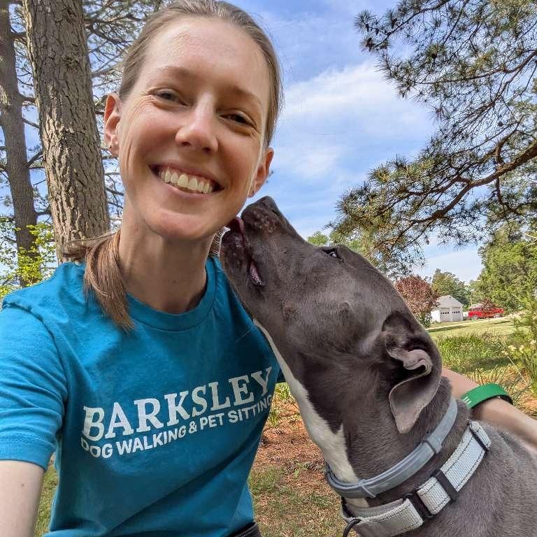 Enlarge Wilma, a Adoptable American Staffordshire Terrier in Richmond, VA image 3/6