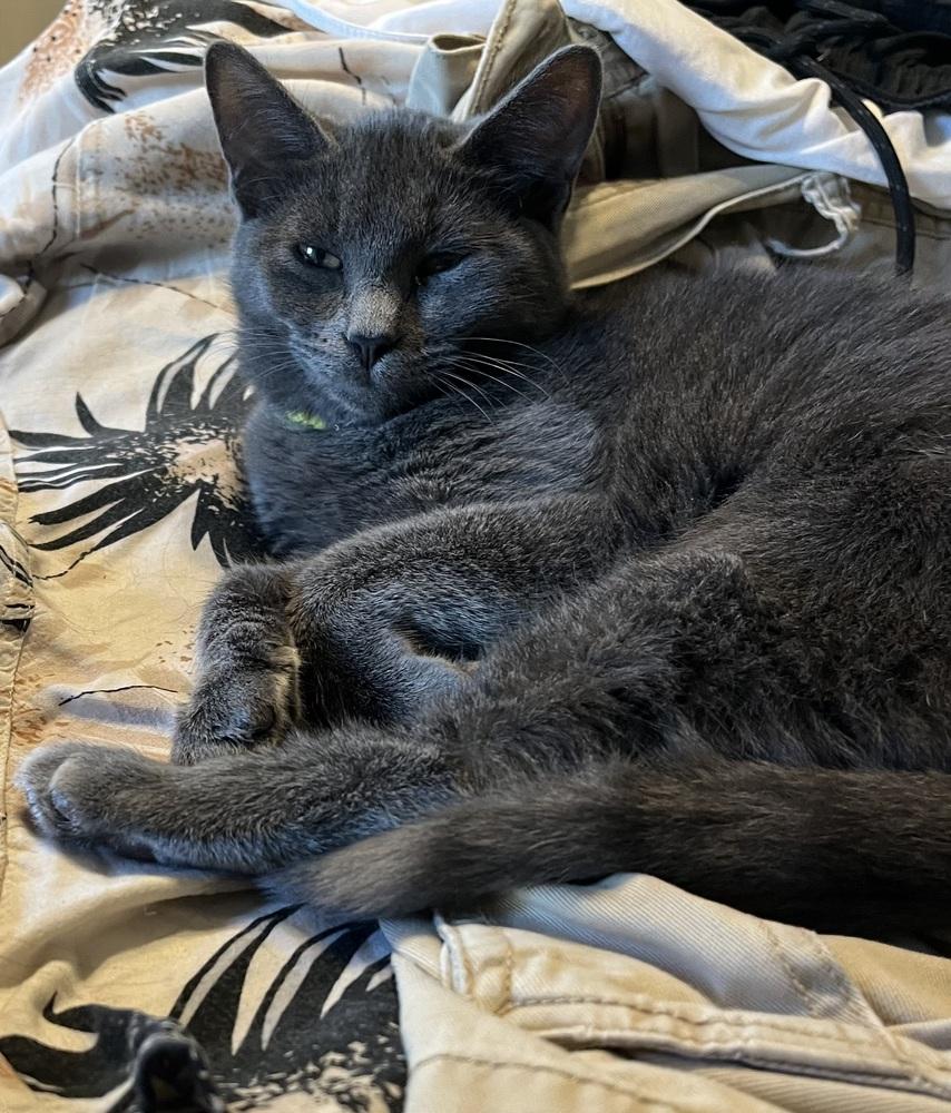 Emporio Ivanko — thumbnail 3