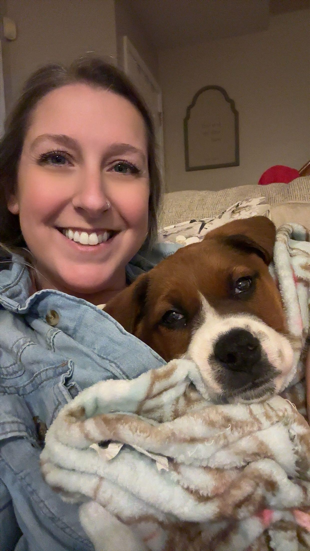 Enlarge Pudding, an adopted mixed breed in Columbia, MD image 4/6