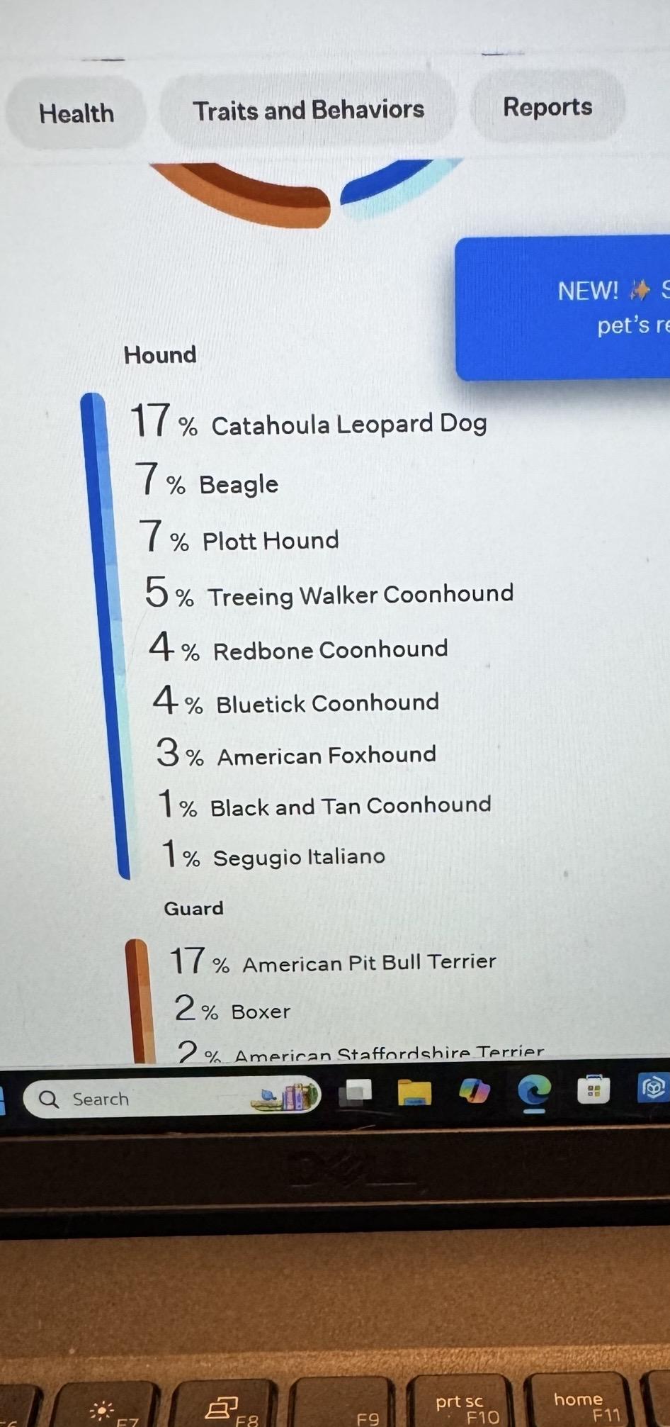 TANNER (Affectionate, Athletic, Loves to Ride the Mule, Good With Cats/Dogs) — thumbnail 4