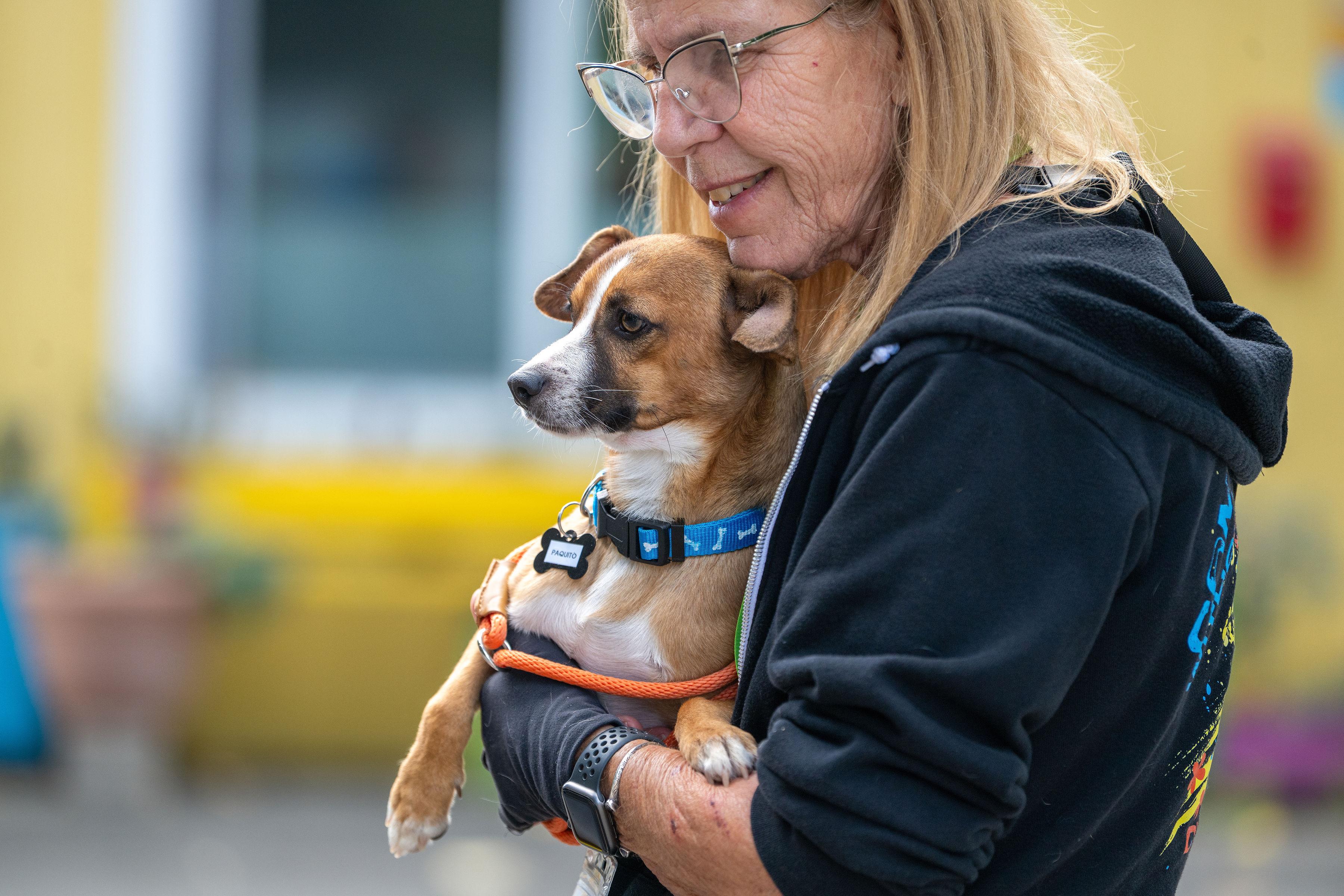 Enlarge Paquito, a Adoptable mixed breed in Santa Rosa, CA image 6/6