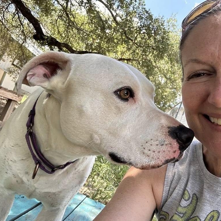 Enlarge Reddy, a Adoptable mixed breed in Georgetown, TX image 2/6