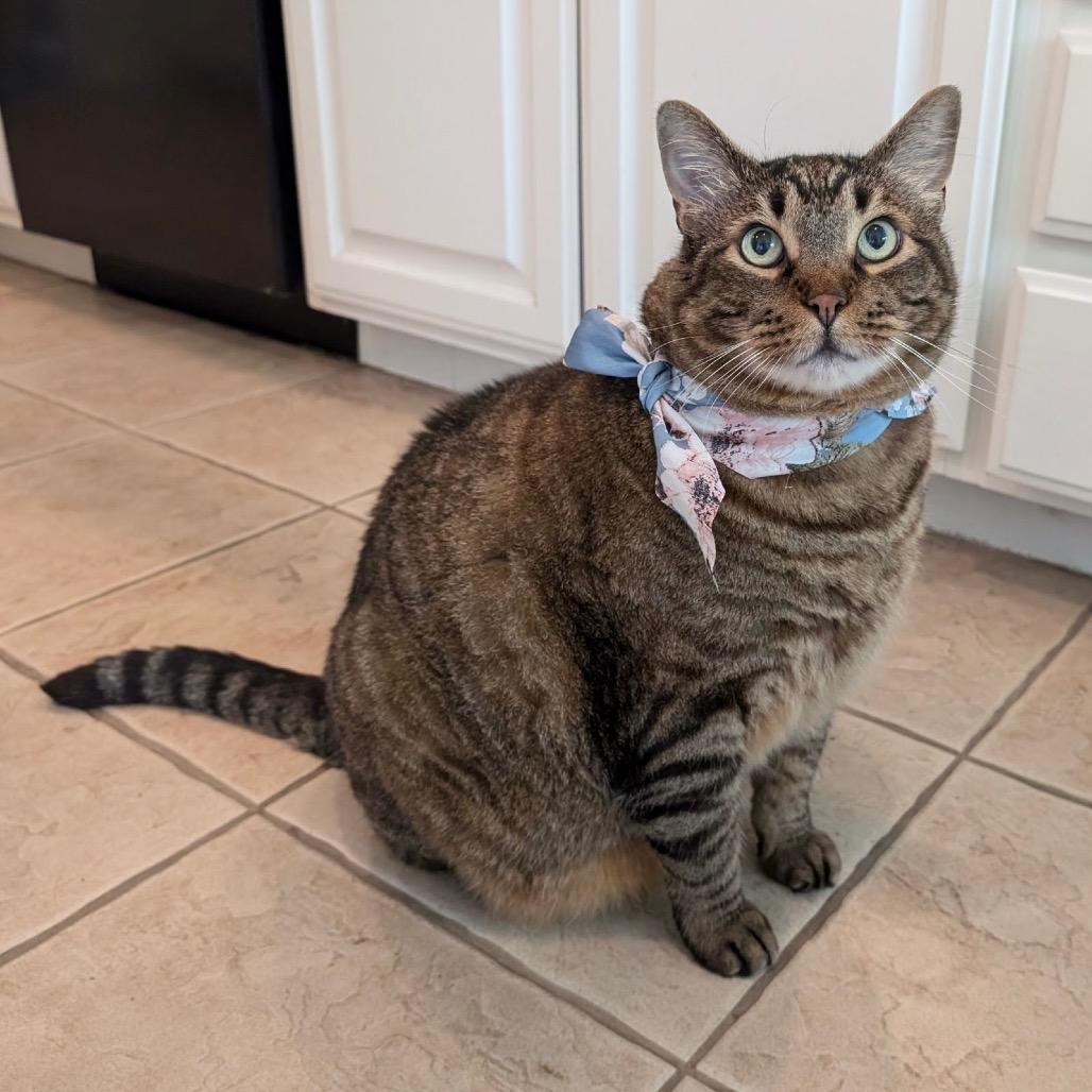 Bobbins — thumbnail 3