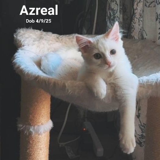 Azreal